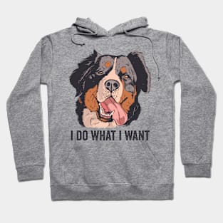 Funny Bernese Mountain Dog I Do What I Want Hoodie